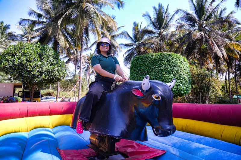Carnival Games like Ride-a-Bull for Corporate Day Outing gallery image