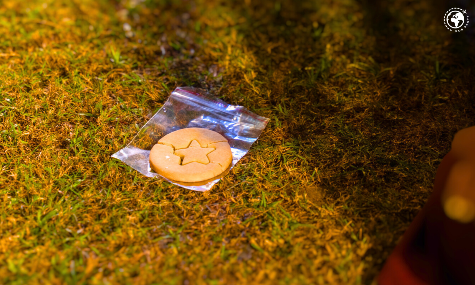 Squid Games Outdoor Corporate Team Building in Gurgaon by SOS Party gallery image