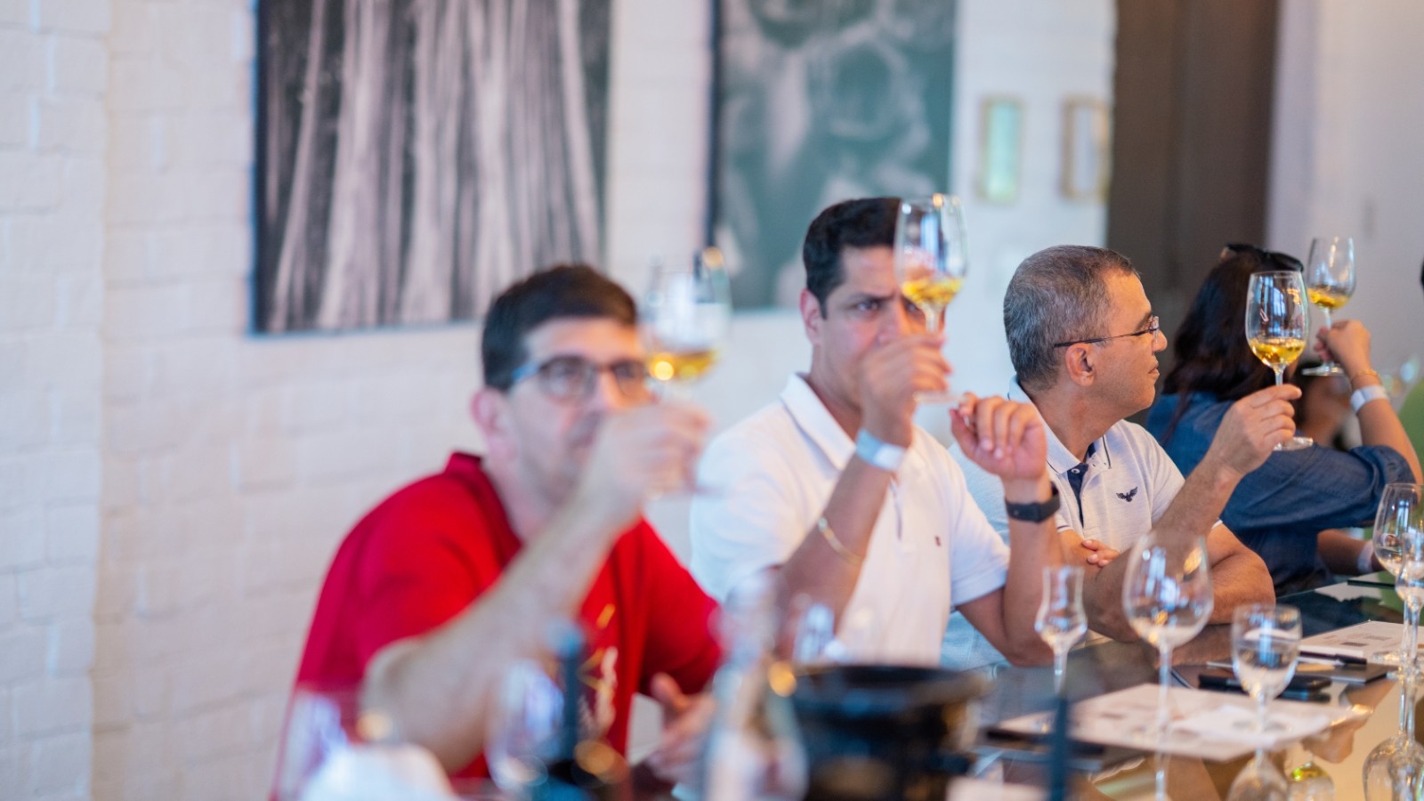 Wine Tasting and Vineyard Visit - Corporate Team Building gallery image