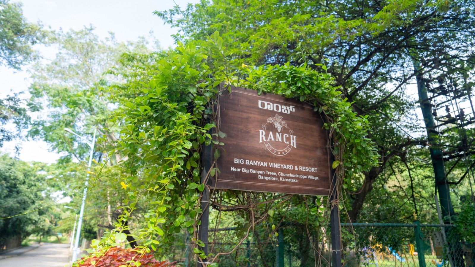 Wine Tasting and Vineyard Visit - Corporate Team Building gallery image