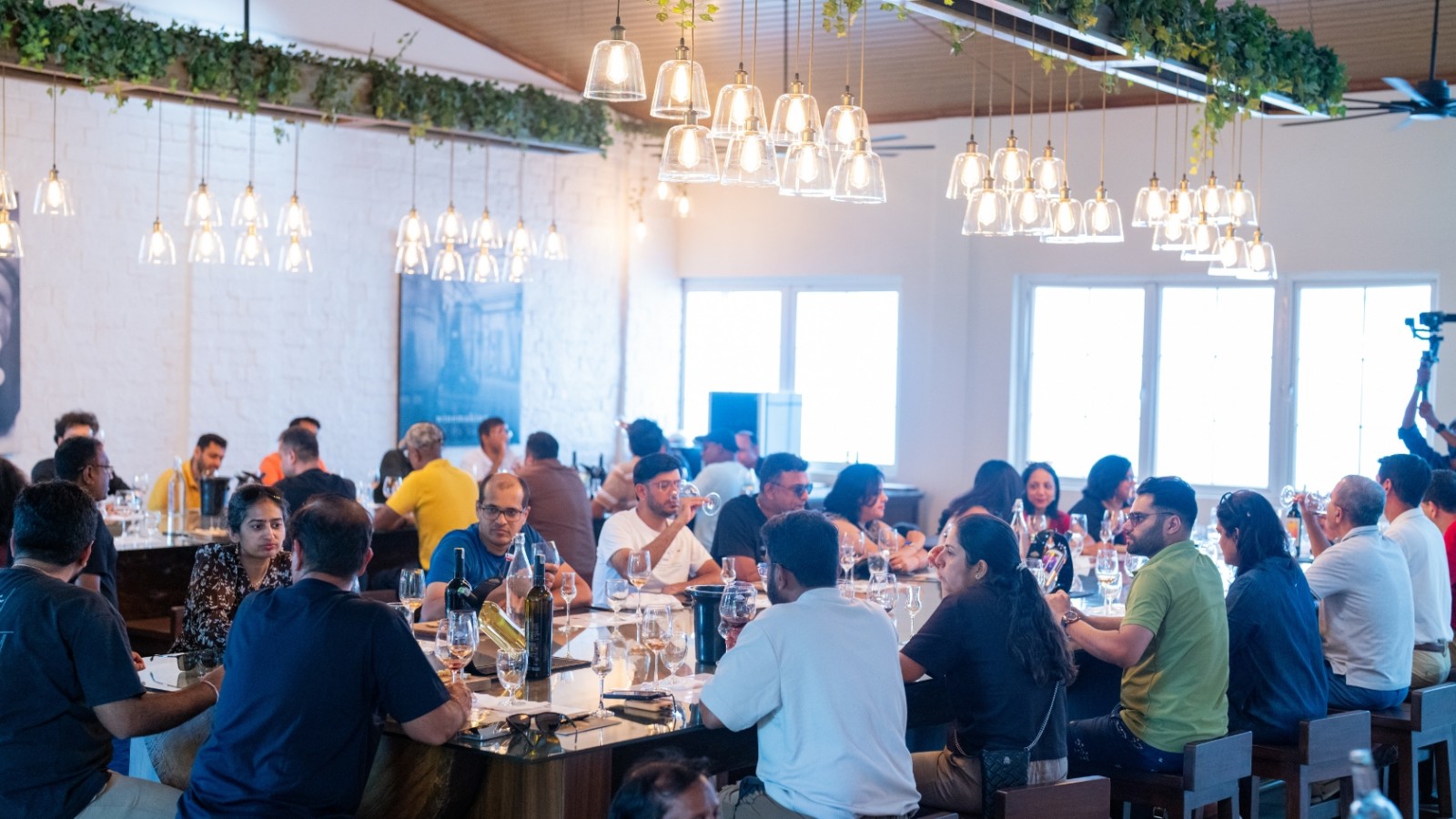 Wine Tasting and Vineyard Visit - Corporate Team Building gallery image